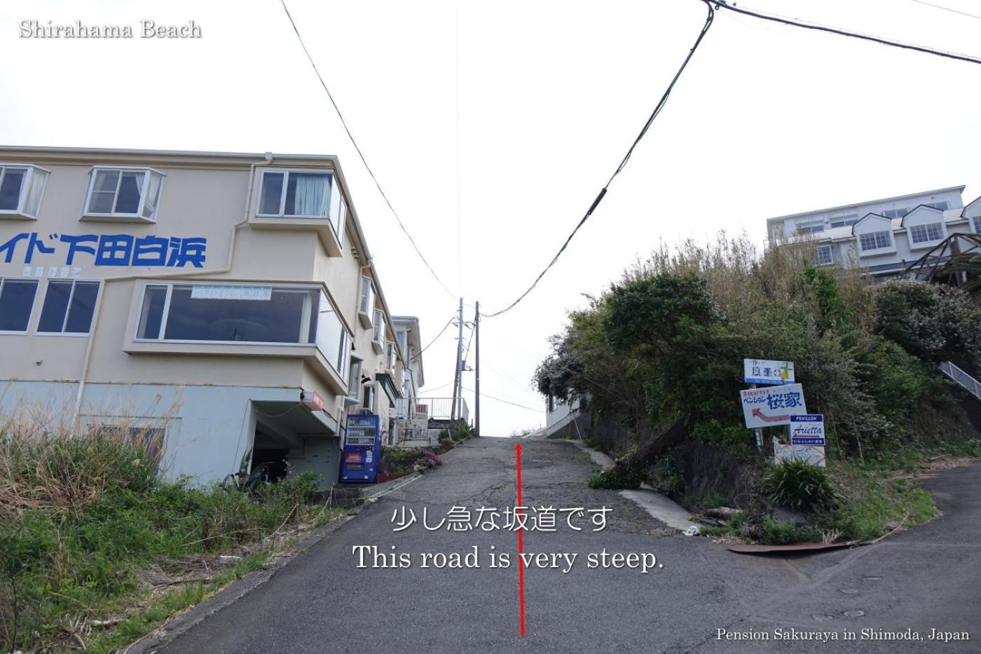 Hotel ペンション桜家 Šimoda Exteriér fotografie